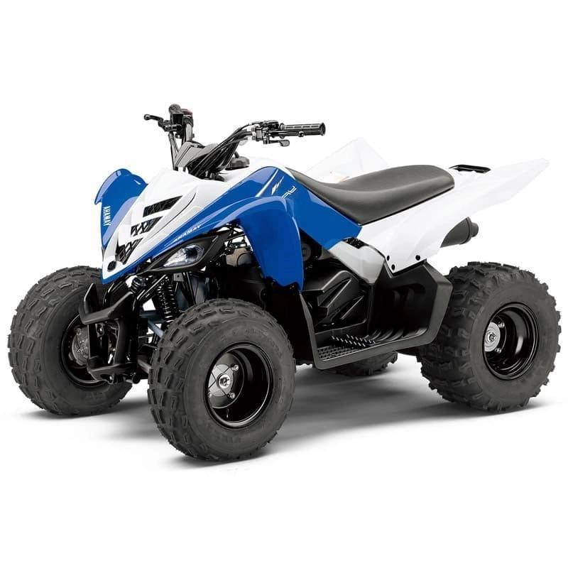 Квадроцикл YAMAHA YFM90R (Raptor 90) 2546399