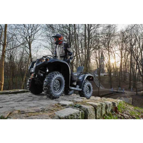 Квадроцикл BALTMOTORS Striker 500 EFI 2546402