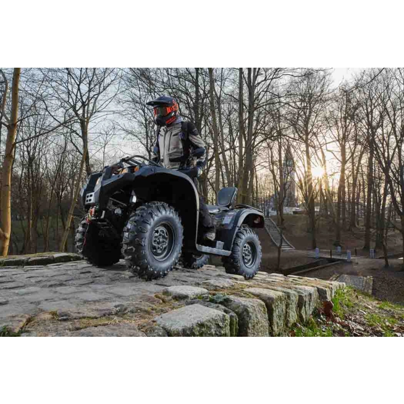 Квадроцикл BALTMOTORS Striker 500 EFI 2546402