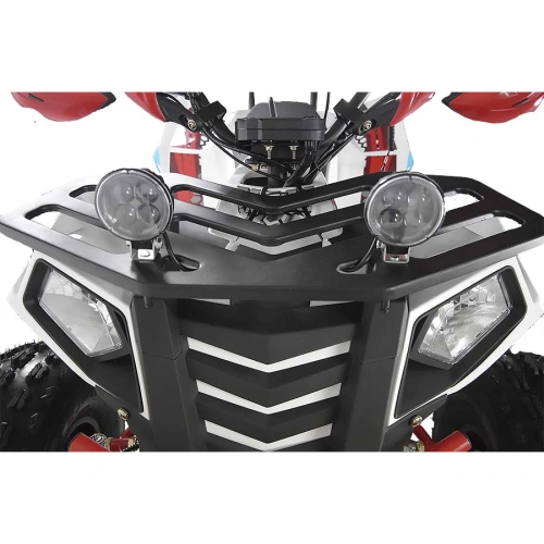Квадроцикл RAPTOR Madman 200 251173
