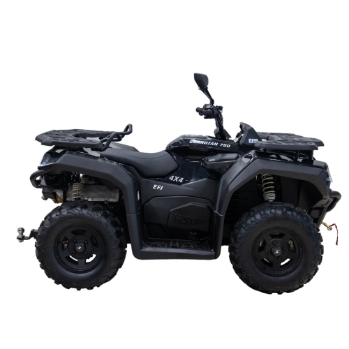 Квадроцикл HISUN Guardian 750S Short (ПСМ) 2588828