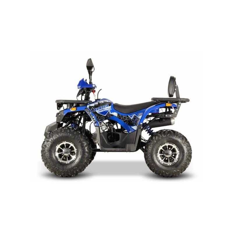 Квадроцикл GRIZZLY Aerox 125 2556389