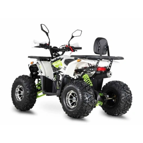 Квадроцикл GRIZZLY Aerox 125 2556389