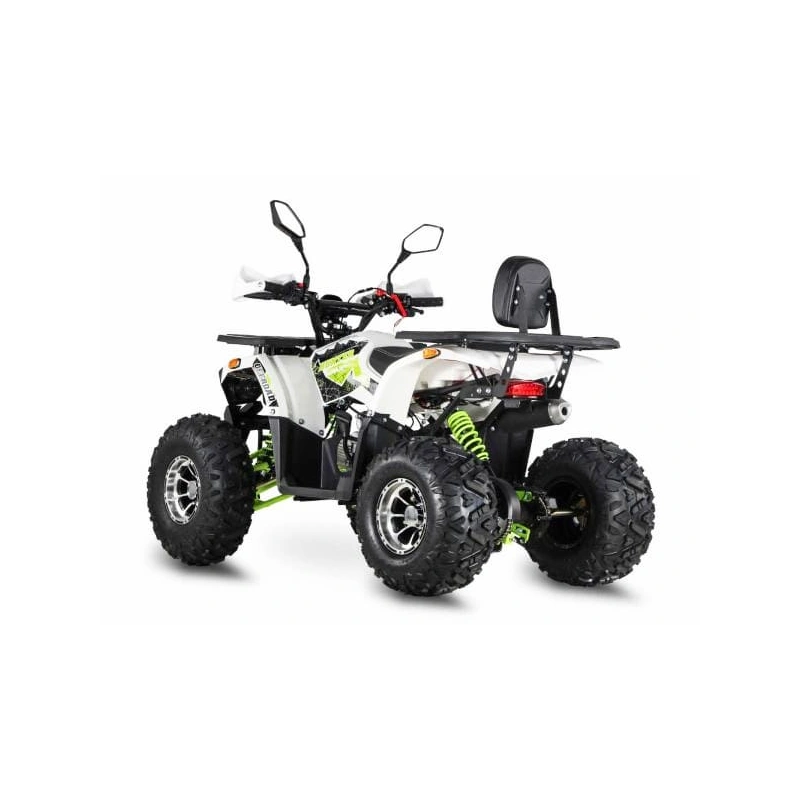 Квадроцикл GRIZZLY Aerox 125 2556389
