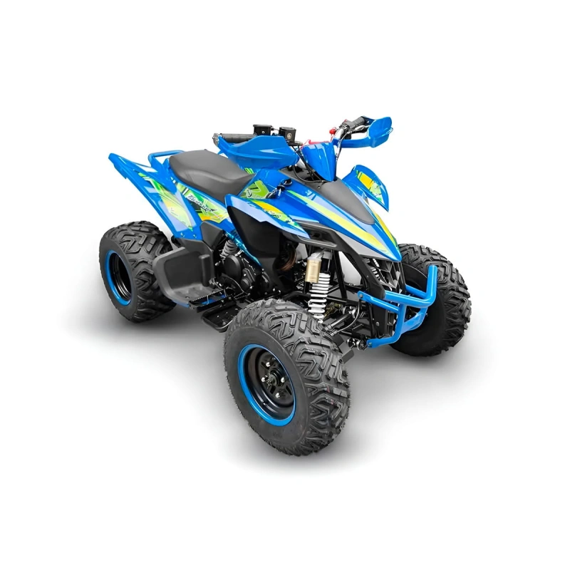 Квадроцикл RACER Typhoon 250 2591520