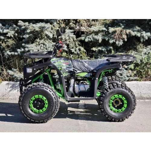 Квадроцикл RMOTO Lion 125AR Lite 2591470