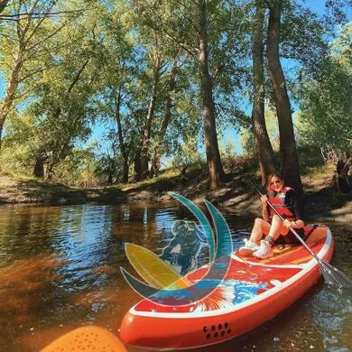 fayean_koi_supboard.jpg