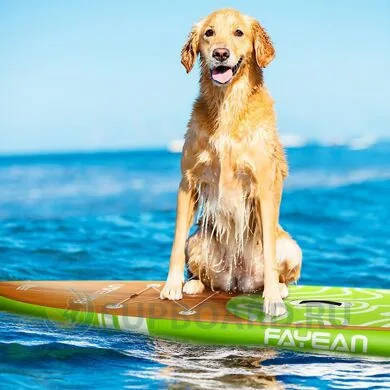 fayean_oasis_sup_bord.jpg
